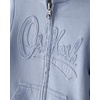 image:imageOSHKOSH BGOSH Boys Logo HoodieBlue