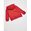 image:imageOSHKOSH BGOSH Boys Logo HoodieRed Alert