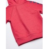 image:imageOSHKOSH BGOSH Boys Logo HoodieSundried Red