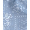 image:imageOSHKOSH BGOSH Boys Swim TrunksBlue Bandana