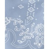 image:imageOSHKOSH BGOSH Boys Swim TrunksBlueWhite Bandana