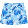 image:imageOSHKOSH BGOSH Toddlers and Baby Boys Swimsuit Trunk and Rashguard SetBlue