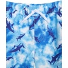 image:imageOSHKOSH BGOSH Toddlers and Baby Boys Swimsuit Trunk and Rashguard SetBlue