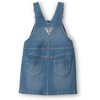 image:imageOshkosh Girls Worlds Best OverallsBlue Rainbow Stripe Skirtall