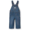 Blue Denim