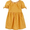 Golden Fields Dots