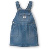 Blue Rainbow Stripe Skirtall