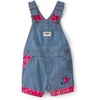 Blue/Red Paisley
