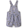 Blue/White Gingham