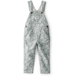 image:imageOSHKOSH BGOSH Baby Girls Worlds Best OverallsGreen Floral Canvas