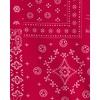 image:imageOSHKOSH BGOSH Baby Girls Shortsleeve BodysuitRedWhite Paisley