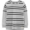 Gray Stripe