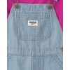 image:imageOSHKOSH BGOSH Baby Girls 2piece Overall SetsPink Blue Embroidered Flowers