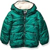 Dino Green Print