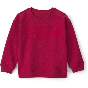 image:imageOSHKOSH BGOSH Boys Pullover SweatshirtRed Solid