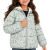 image:imageOshKosh Bgosh Girls Puffer Jacket Heavyweight Insulated Hooded Winter CoatMint