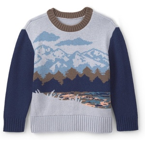 image:imageOshKosh BGosh Boys SweaterGrey Navy Blue Mountain